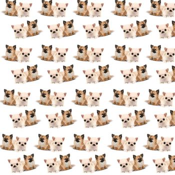 狗印花华亿平台图片