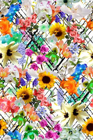 高端数码花卉女装印花华亿平台图片