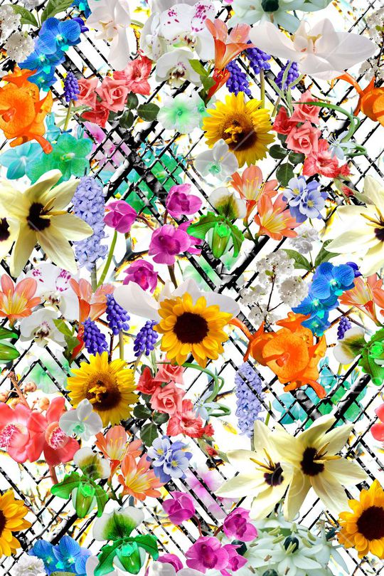 高端数码花卉女装印花华亿平台图片