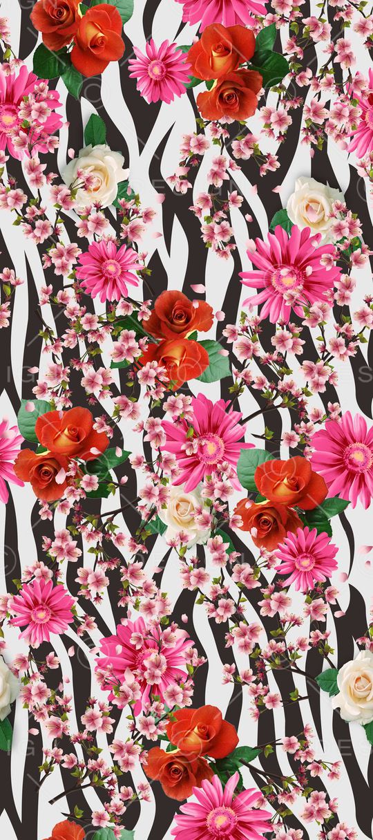 豹纹印花华亿平台图片