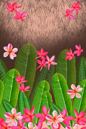 写实印花华亿平台图片