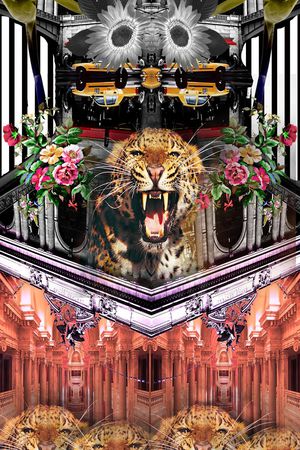 动物豹纹天堂鸟印花华亿平台图片