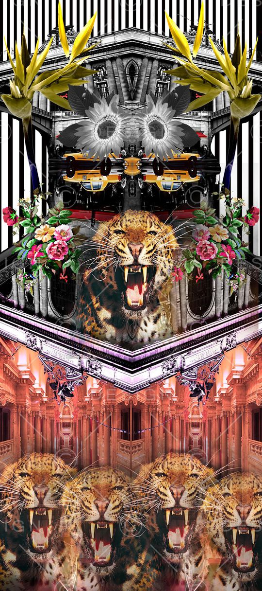 动物豹纹天堂鸟印花华亿平台图片