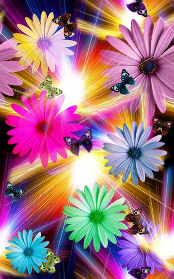 373745-梦幻光线蝴蝶花卉雏菊组合