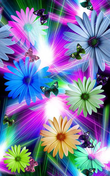 373746-梦幻光线蝴蝶花卉雏菊组合