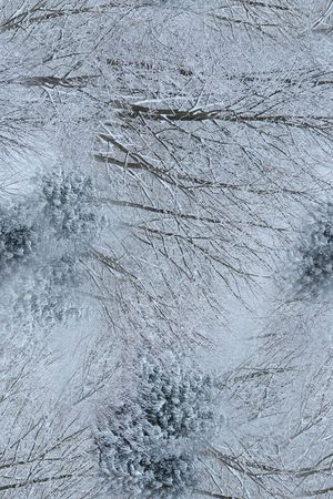 复古印花华亿平台图片