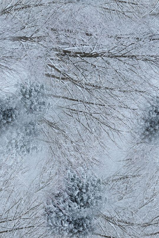 复古印花华亿平台图片