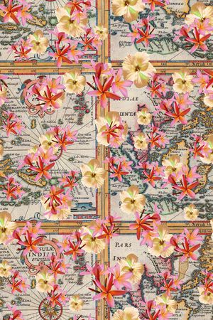 热带印花华亿平台图片