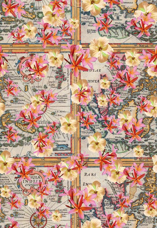 热带印花华亿平台图片