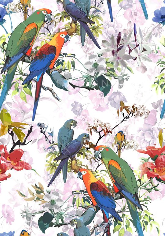 热带 色彩印花华亿平台图片