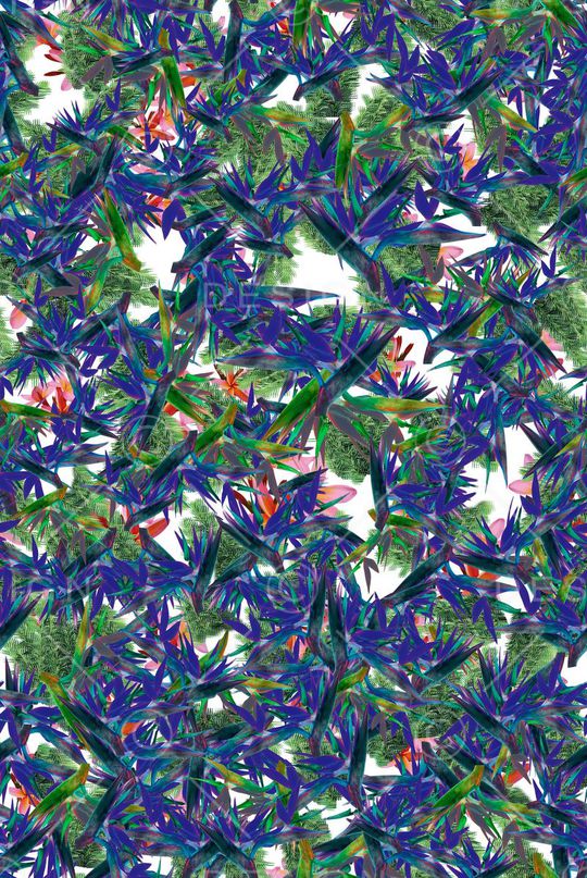 热带印花华亿平台图片