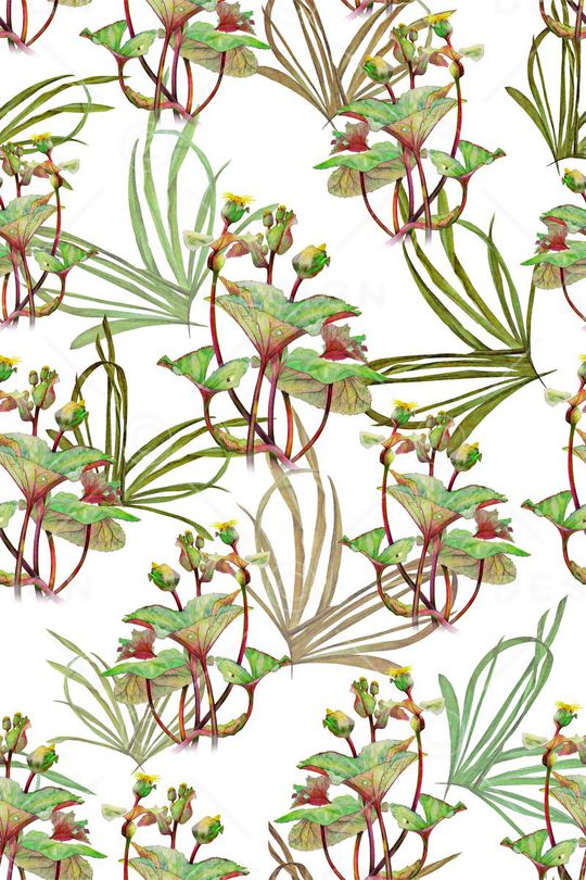 热带风情印花华亿平台图片