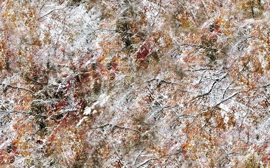 潮流印花华亿平台图片