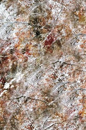 潮流印花华亿平台图片