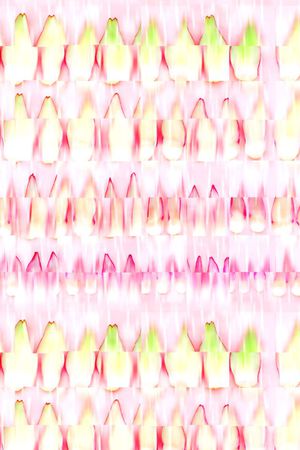 花瓣  渐变几何印花华亿平台图片