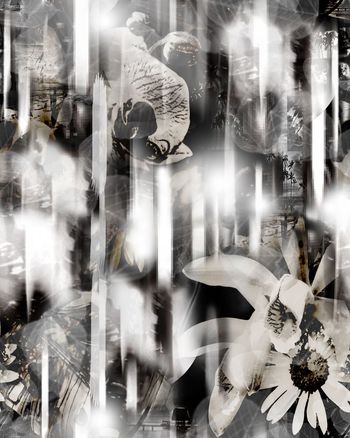 热带雨林印花华亿平台图片