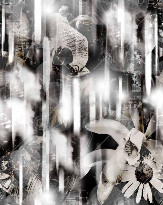 热带雨林印花华亿平台图片