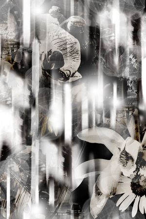 热带雨林印花华亿平台图片