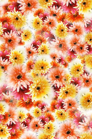 春夏印花华亿平台图片