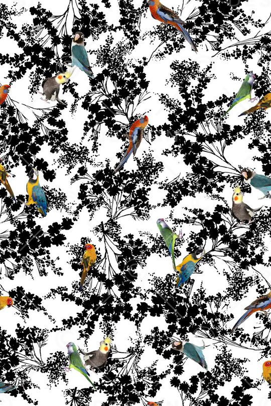 彩色鸟印花华亿平台图片