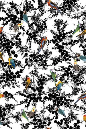 彩色鸟印花华亿平台图片