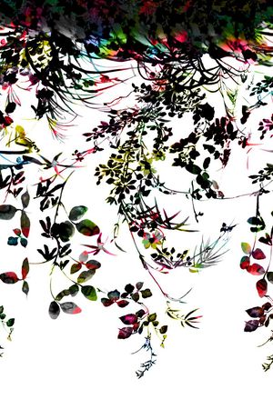 树叶印花华亿平台图片