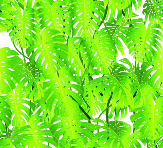 流行印花华亿平台图片