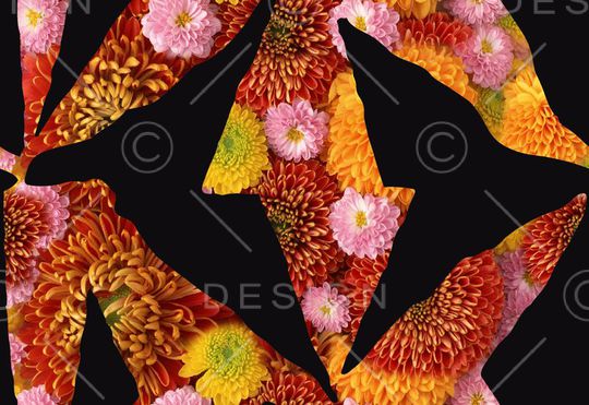 黑底印花华亿平台图片