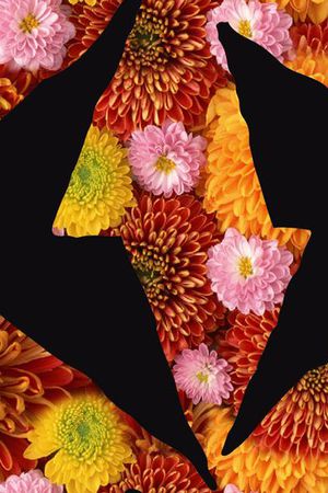 黑底印花华亿平台图片