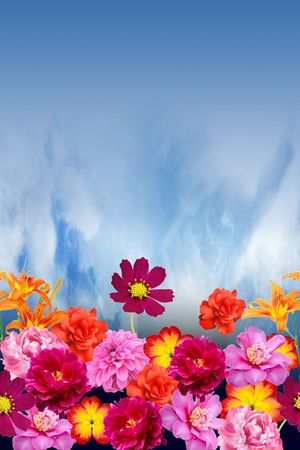 田园印花华亿平台图片