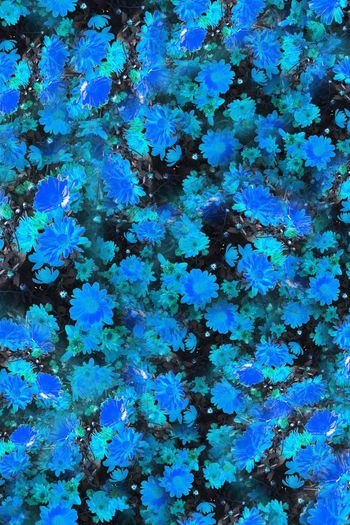 374672-气质群花盛开