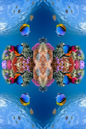 风景印花华亿平台图片