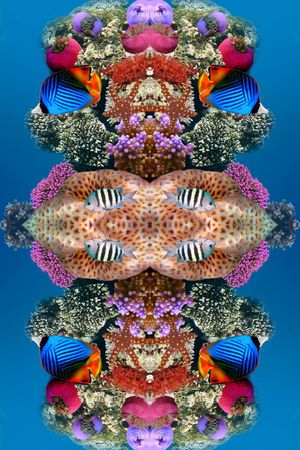 定位印花华亿平台图片