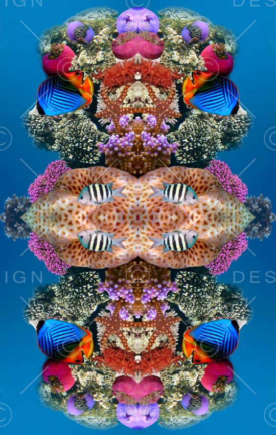 定位印花华亿平台图片