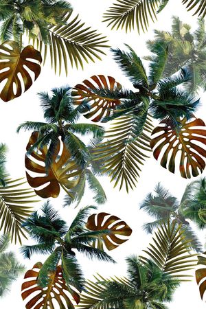 热带印花华亿平台图片