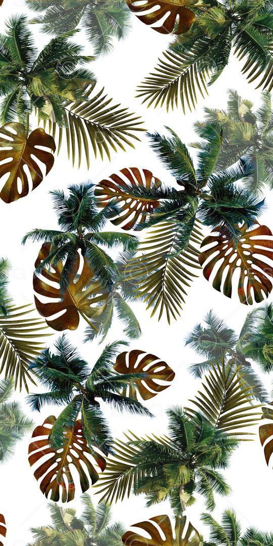 热带印花华亿平台图片