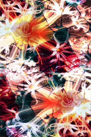 缤纷印花华亿平台图片