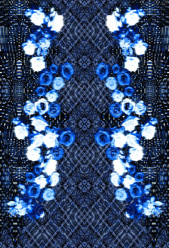 蓝色玫瑰    对称定位花卉印花华亿平台图片