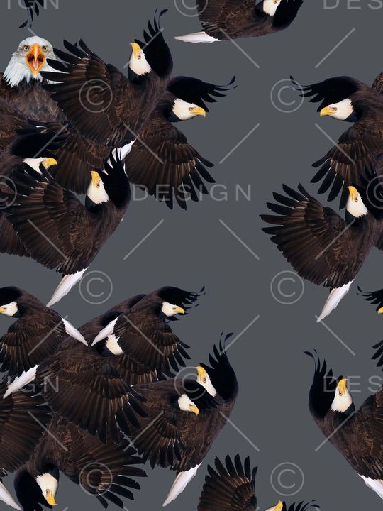 zara印花华亿平台图片