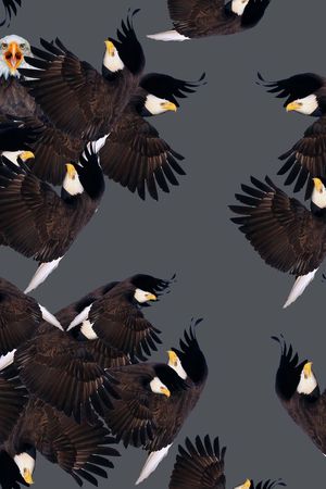 zara印花华亿平台图片