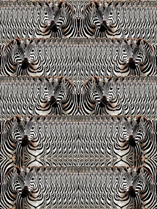 斑马印花华亿平台图片