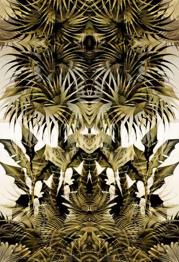 374910-WT425定位对称热带芭蕉树假日风