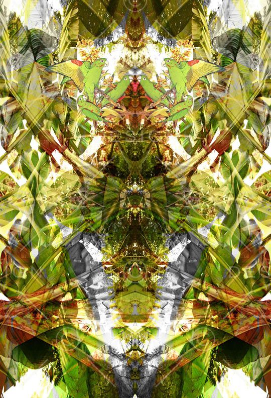 定位印花华亿平台图片