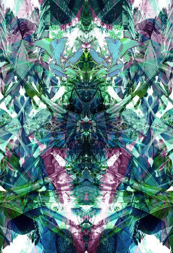 374921-WT426对称定位热带雨林鹦鹉休闲