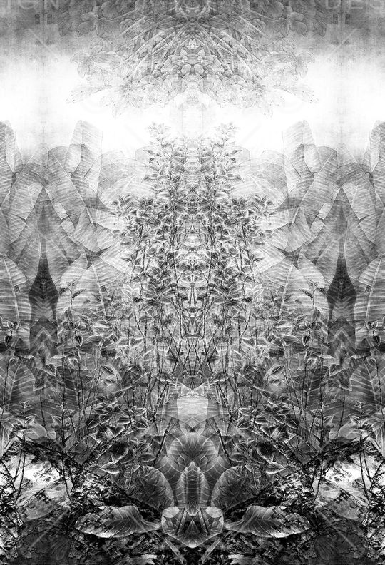 休闲印花华亿平台图片