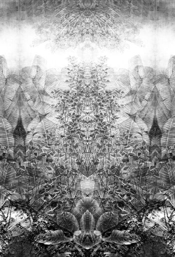 374927-WT427对称定位水墨水彩效果热带