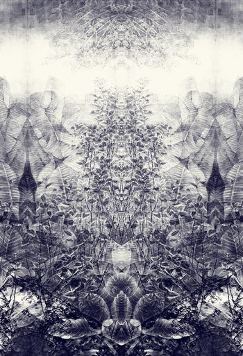 374928-WT427对称定位水墨水彩效果热带