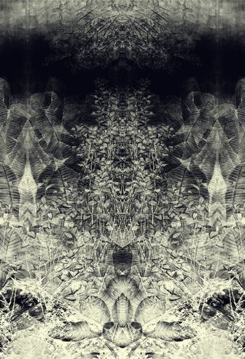 374929-WT427对称定位水墨水彩效果热带