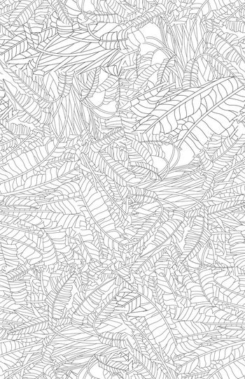 374936-WT428热带芭蕉树线描休闲男装女