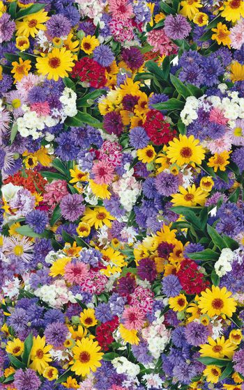 374961-花卉花丛油画绘画效果